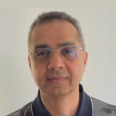 Professor Adel Mansur