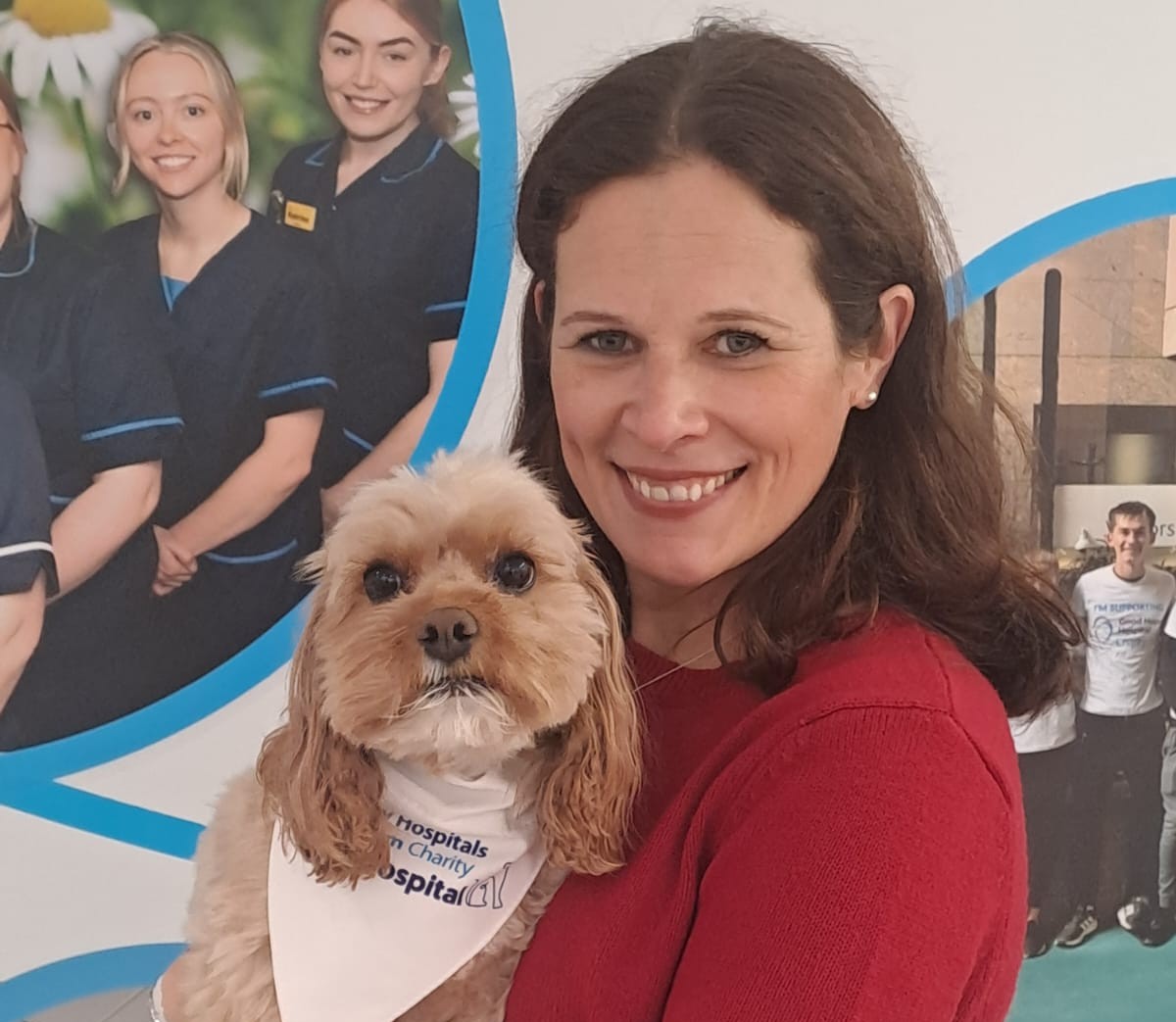 The search is on for pawfect pooches