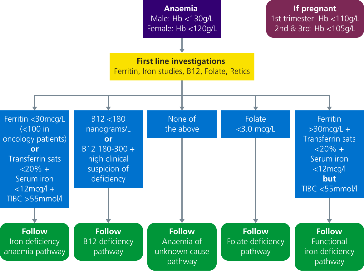 Flowchart displaying the pathway for first-line investigations for anaemia